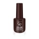 Golden Rose Color Expert Nail Lacquer 109 Trwały lakier do paznokci