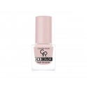 Golden Rose Ice Color Nail Lacquer 211 Lakier do paznokci