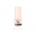 Golden Rose Ice Color Nail Lacquer 214 Lakier do paznokci